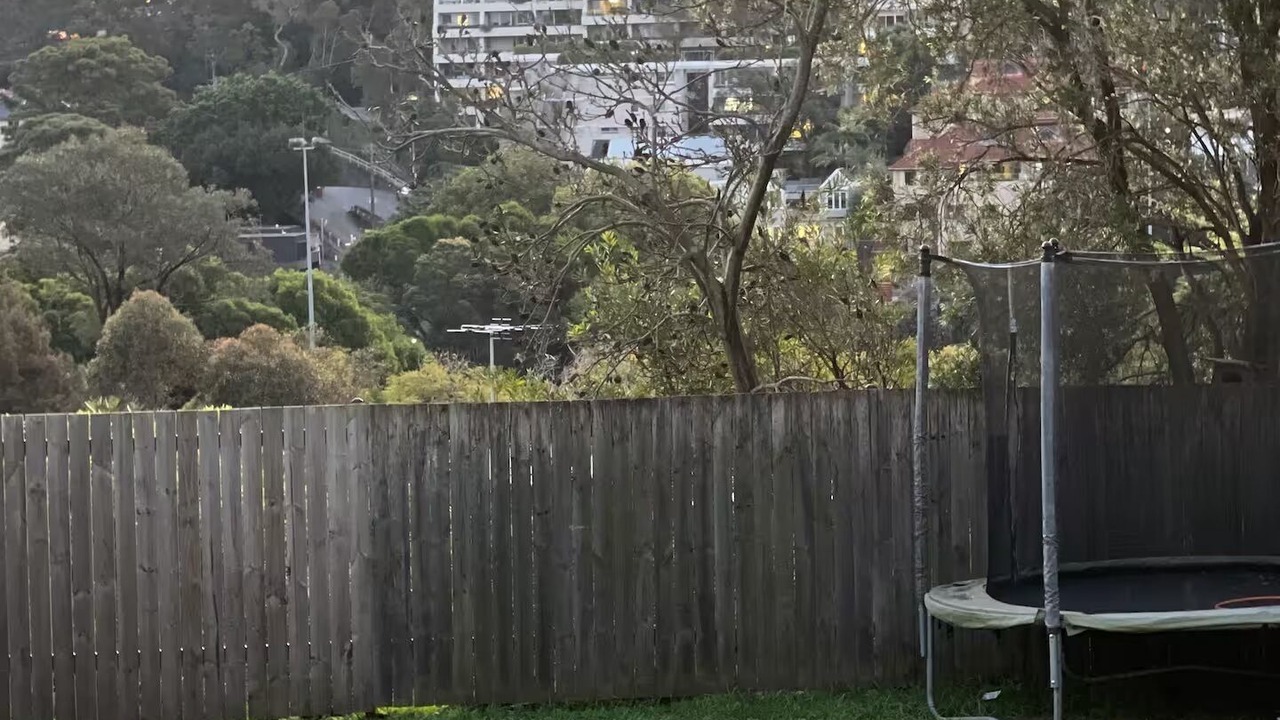 Photo of Outdoor in Neutral Bay