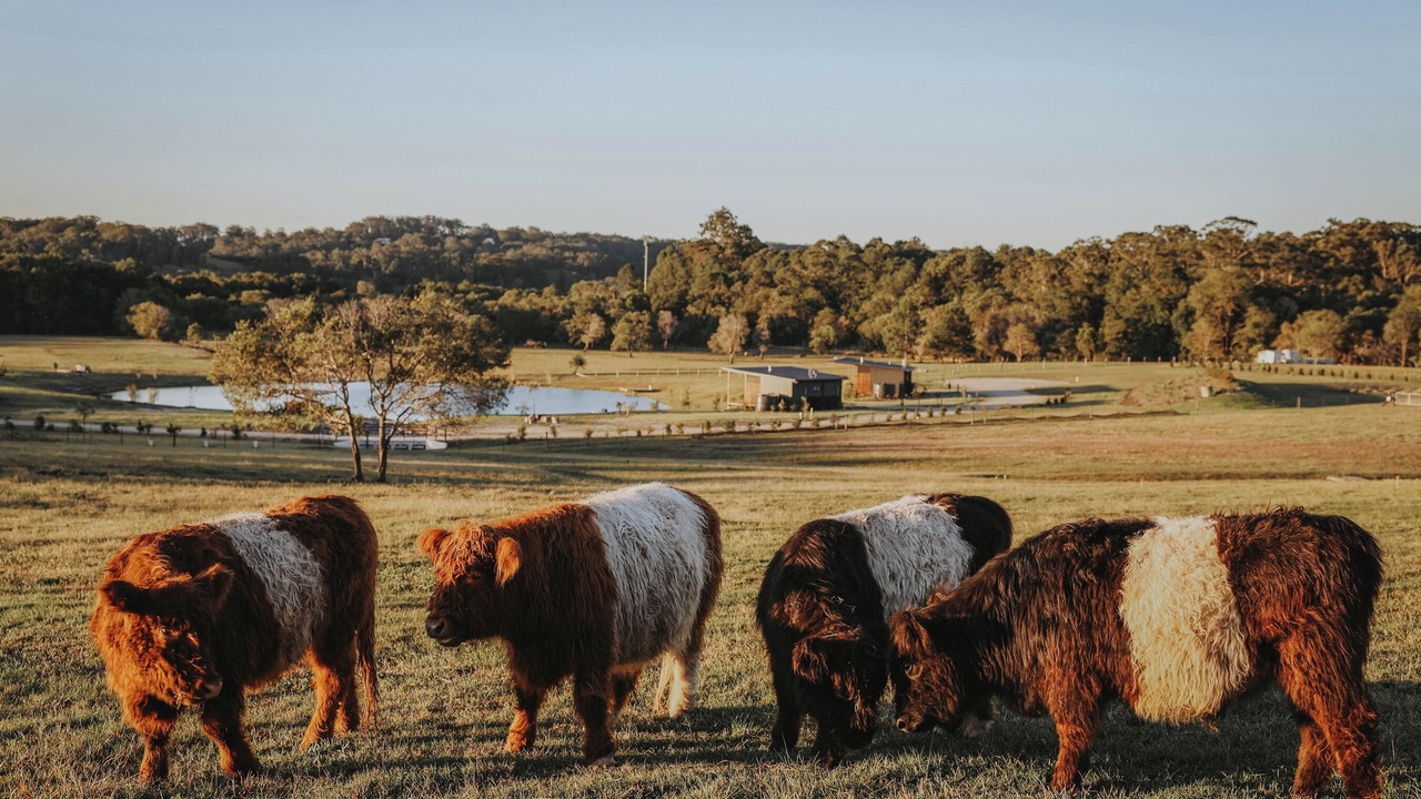 Photo of Others in Woombye