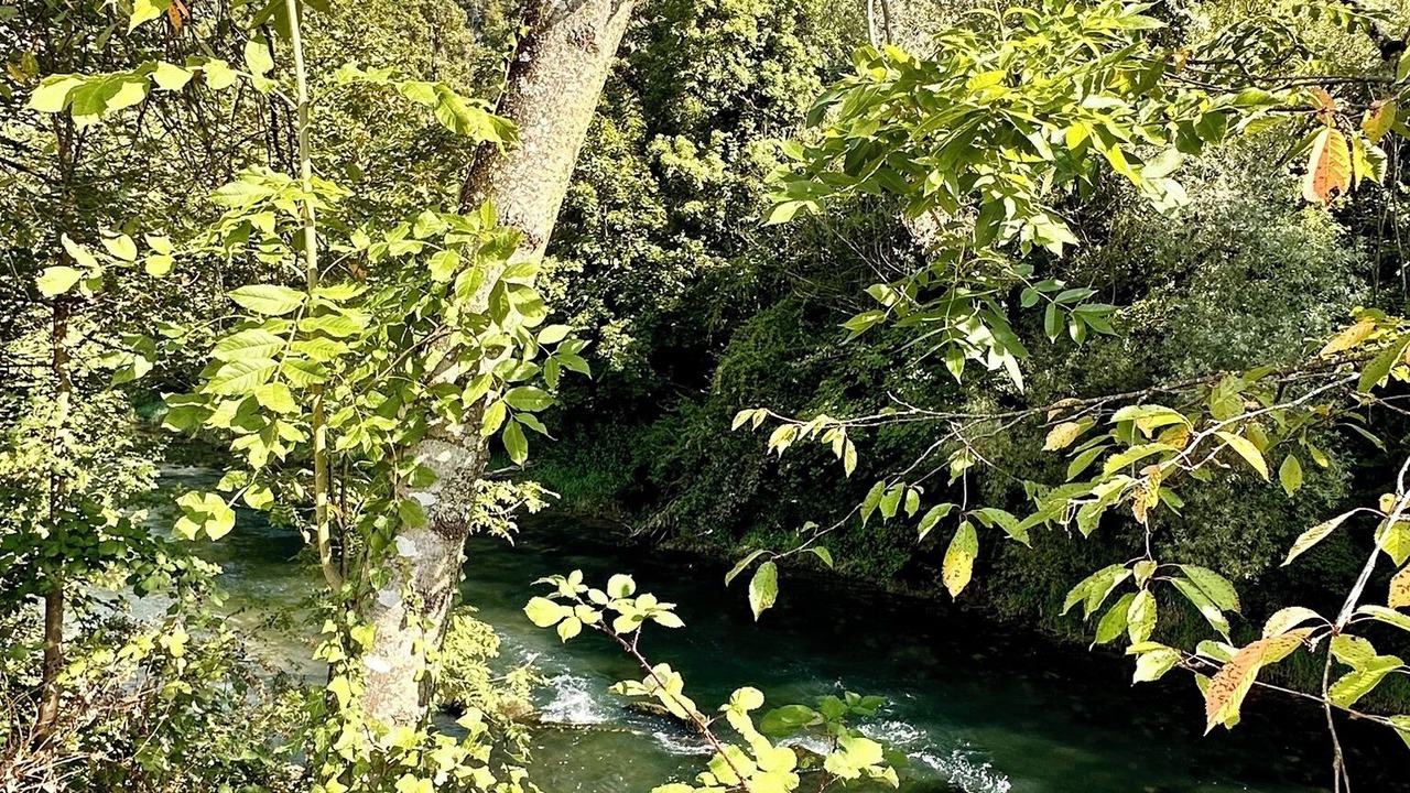 Photo of Outdoor in Duggingen