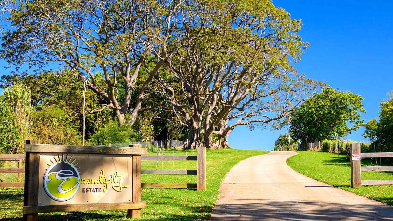 Photo of Outdoor in Mount Tamborine
