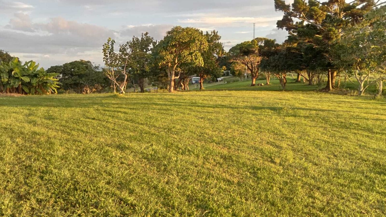 Photo of Others in Shire of Tiaro