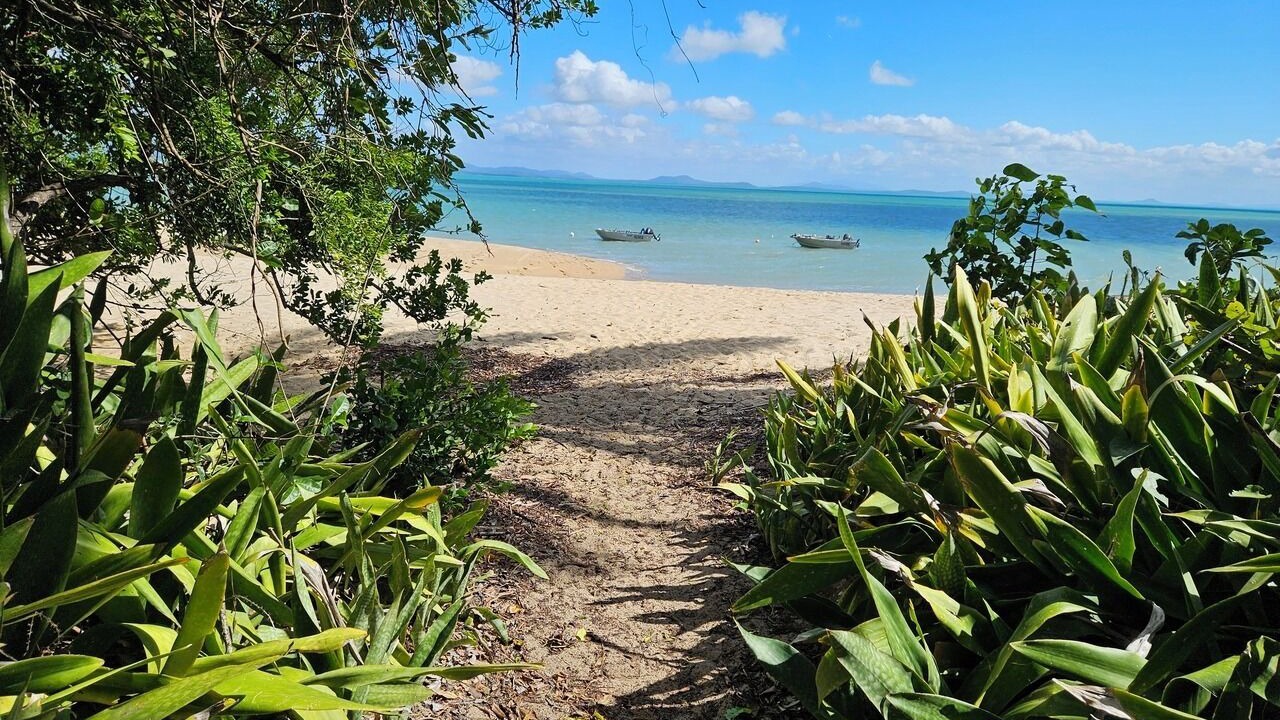Photo of Others in Cape Gloucester