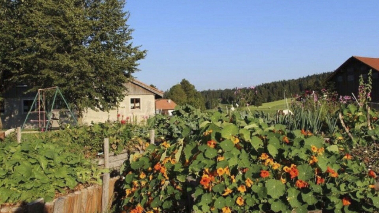 Photo of Outdoor in Montfaucon