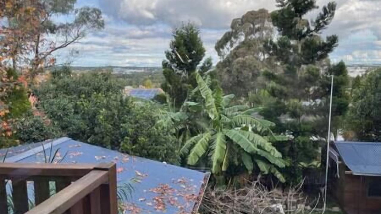 Photo of Outdoor in Blacktown