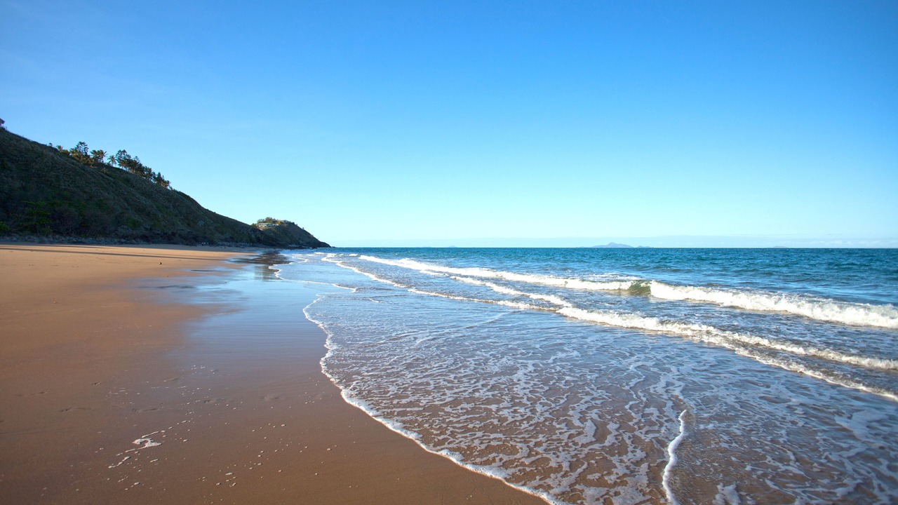 Photo of Others in Blacks Beach