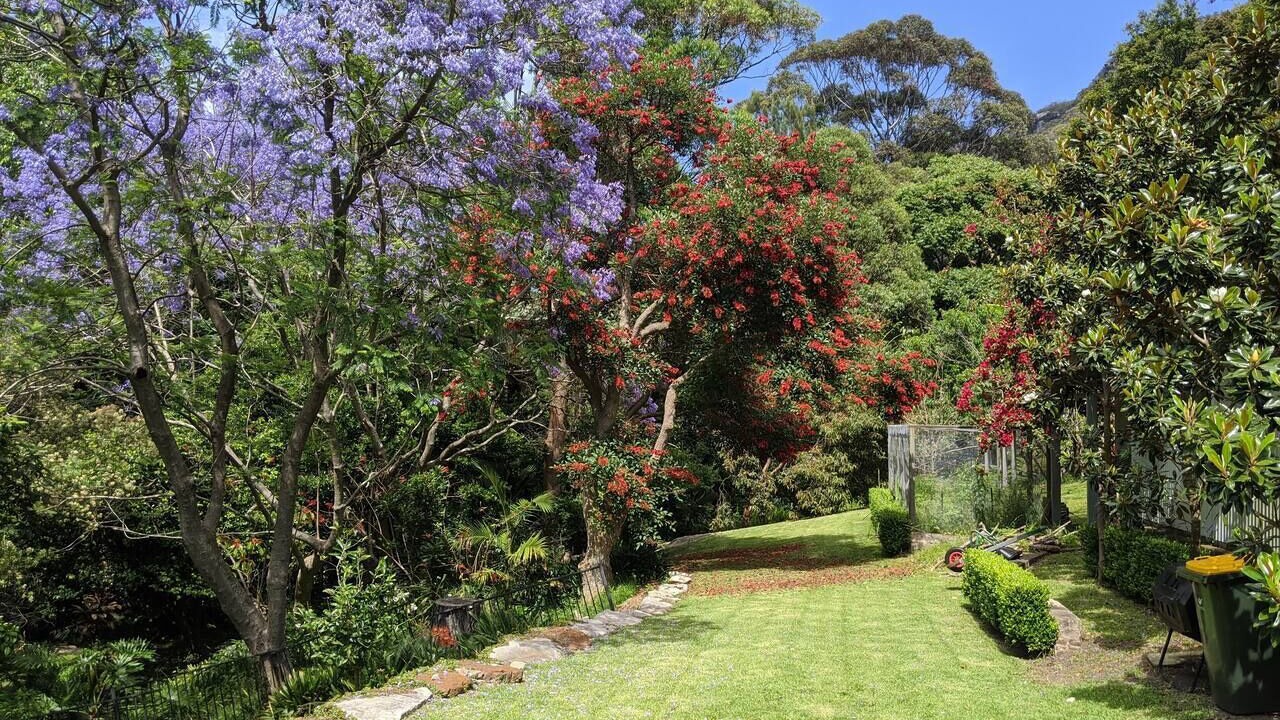 Photo of Outdoor in Coledale