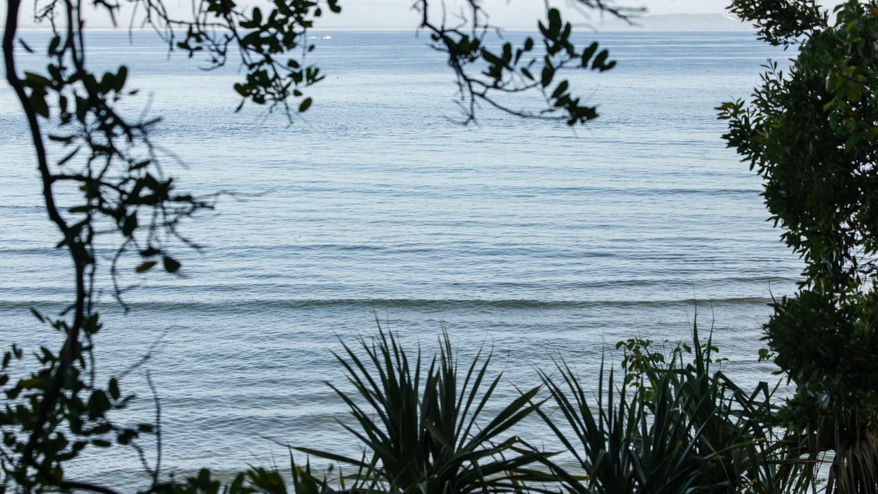 Photo of Outdoor in Noosa Heads