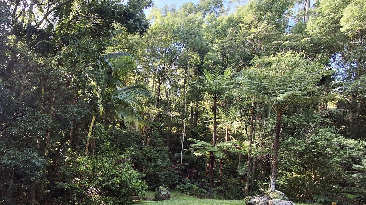 Photo of Outdoor in Limpinwood