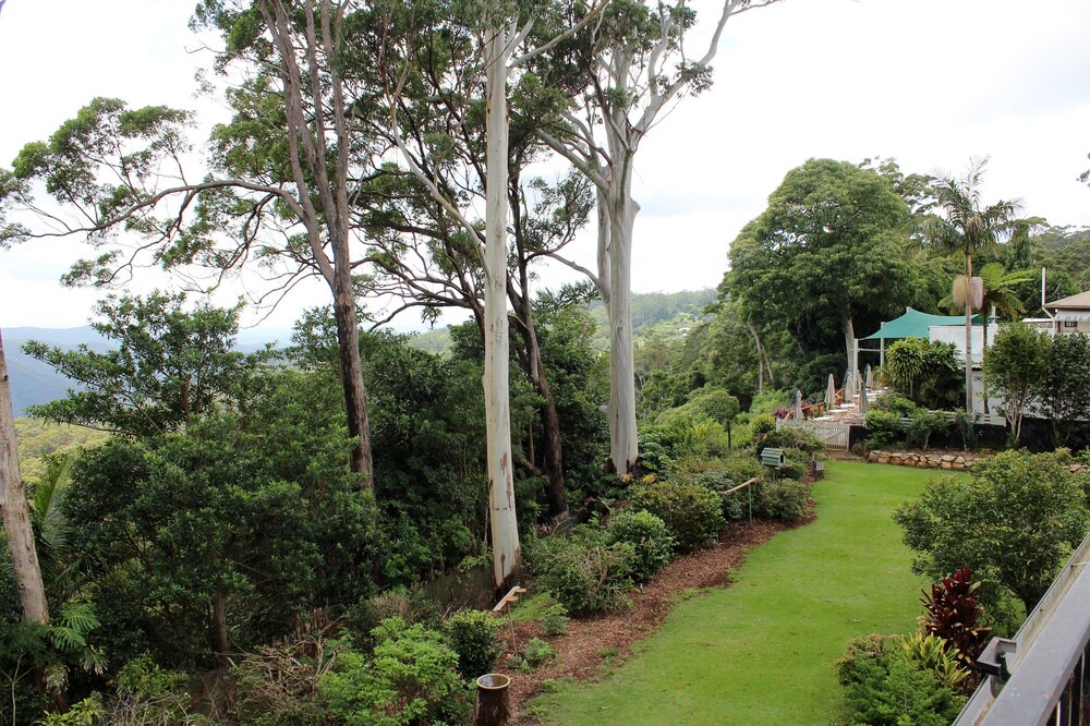 Photo of Outdoor in Mount Tamborine