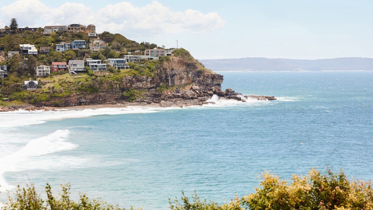 Photo of Others in Whale Beach