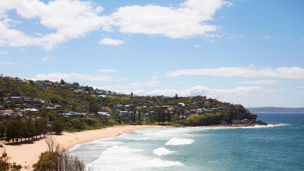Photo of Others in Whale Beach