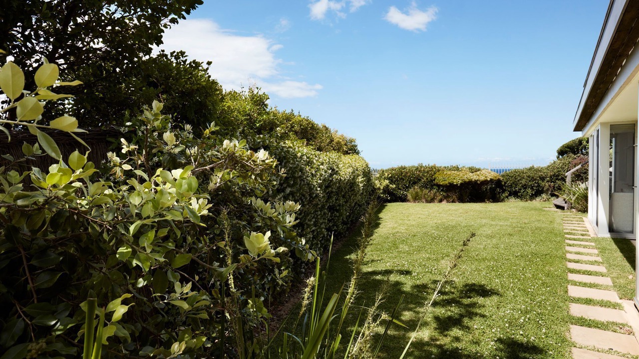 Photo of Outdoor in Whale Beach