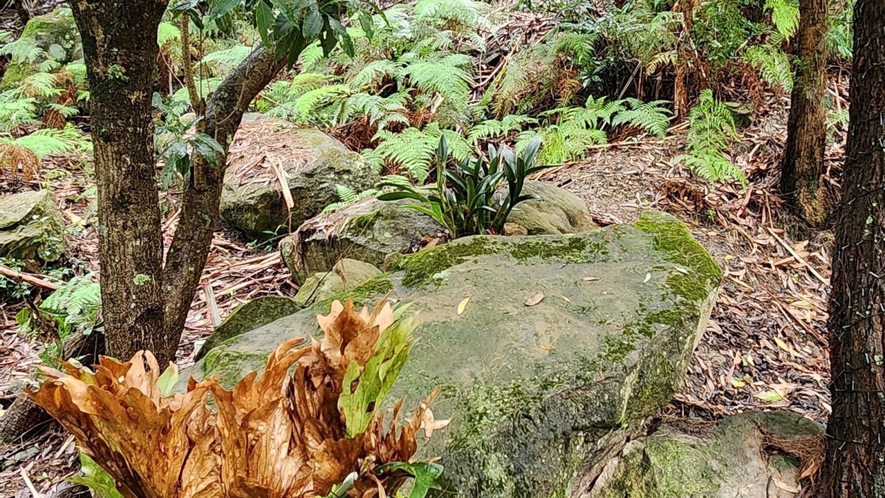 Photo of Outdoor in Galston