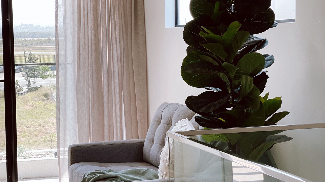 Photo of Livingroom in Marcoola