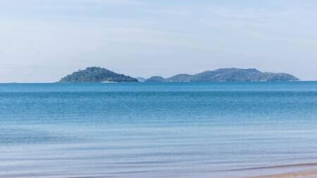 Photo of Others in Wongaling Beach