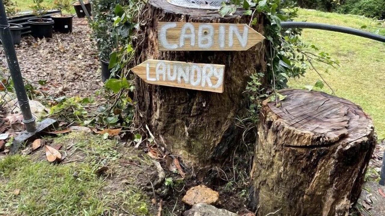 Photo of Outdoor in Leura
