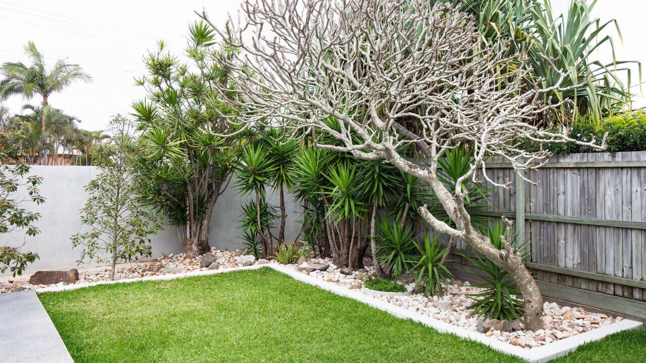 Photo of Outdoor in Yaroomba