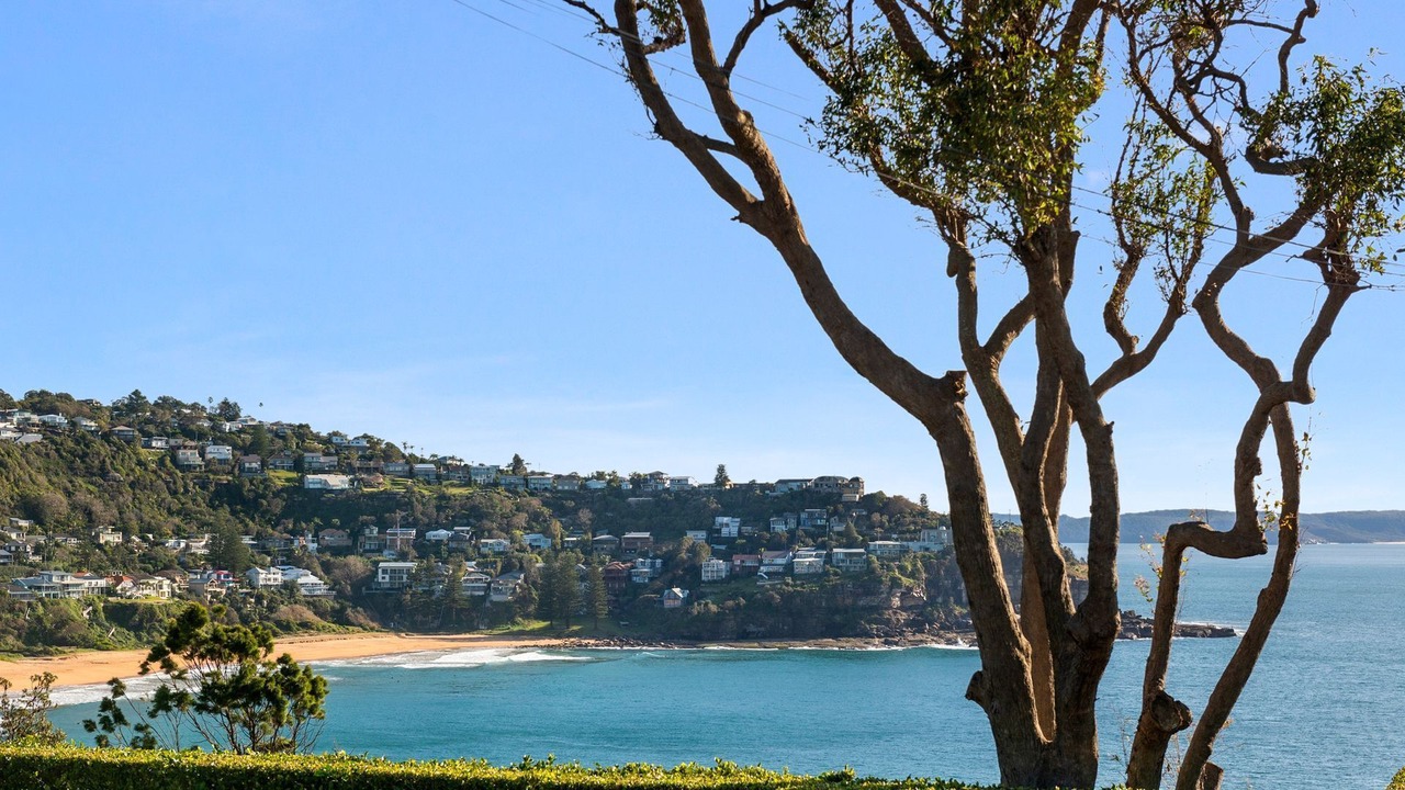 Photo of Others in Whale Beach