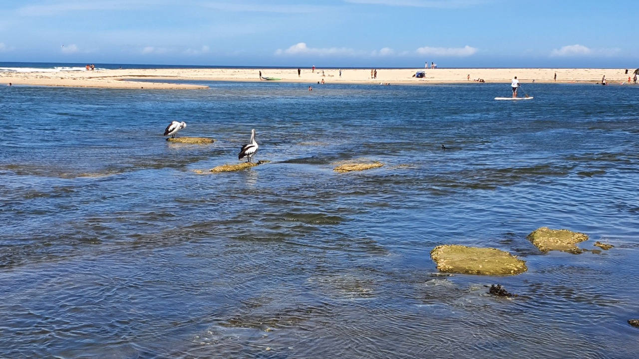 Photo of Others in The Entrance