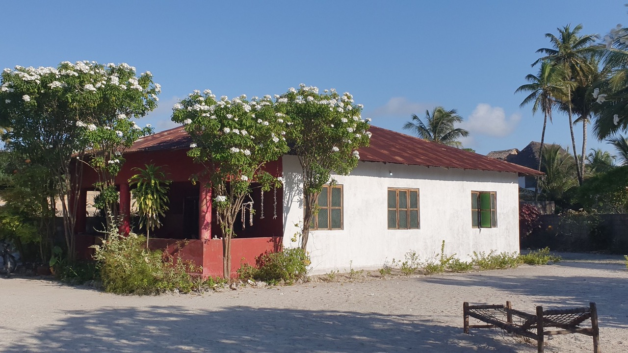 Photo of Outdoor in Jambiani