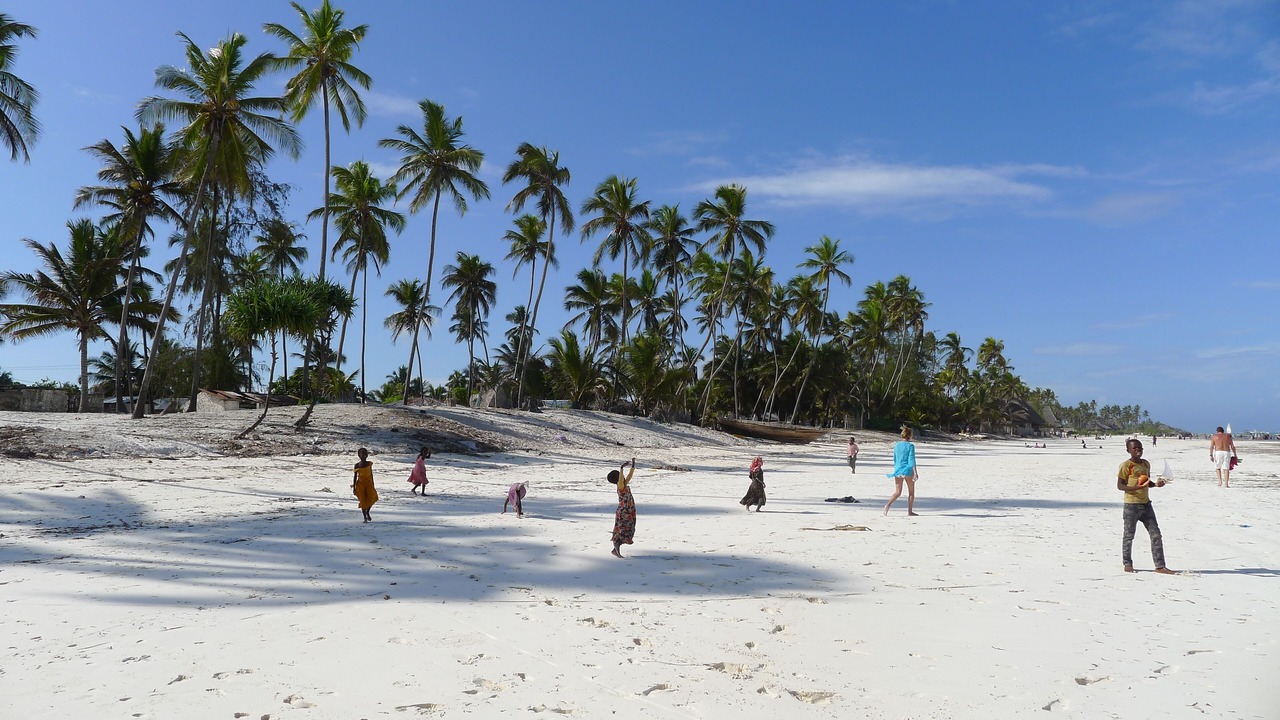 Photo of Others in Matemwe