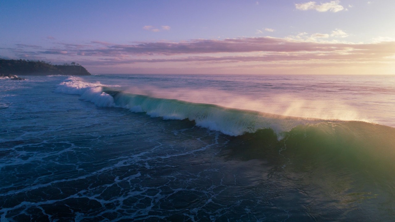 Photo of Others in Sunshine Beach