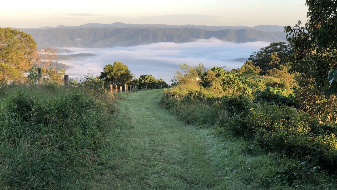 Photo of Outdoor in Booroobin