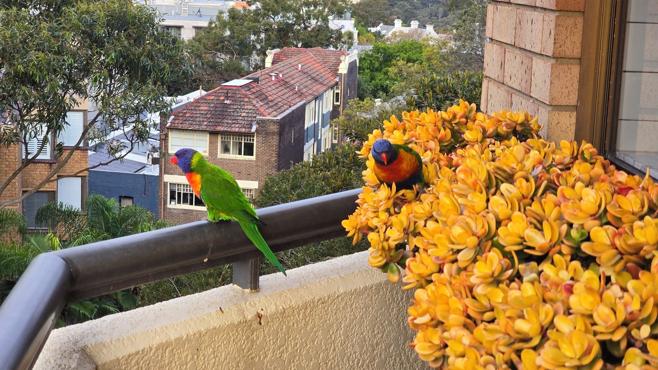 Photo of Others in Darlinghurst