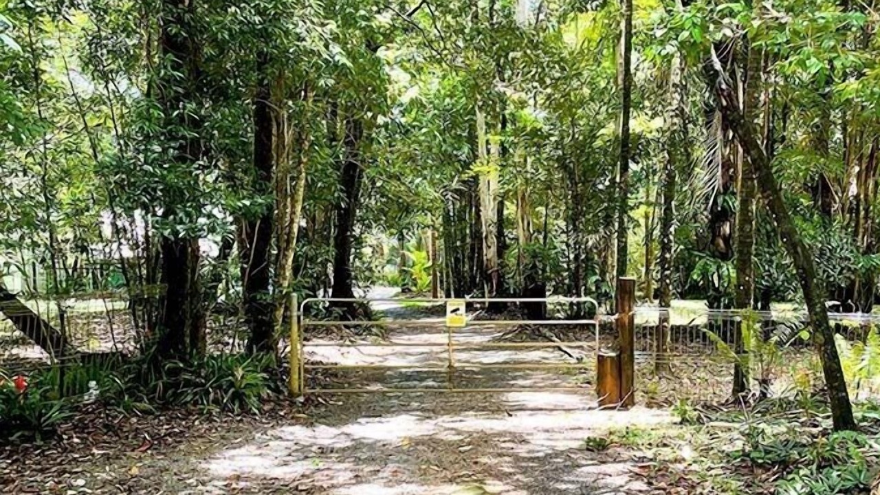 Photo of Outdoor in Cow Bay
