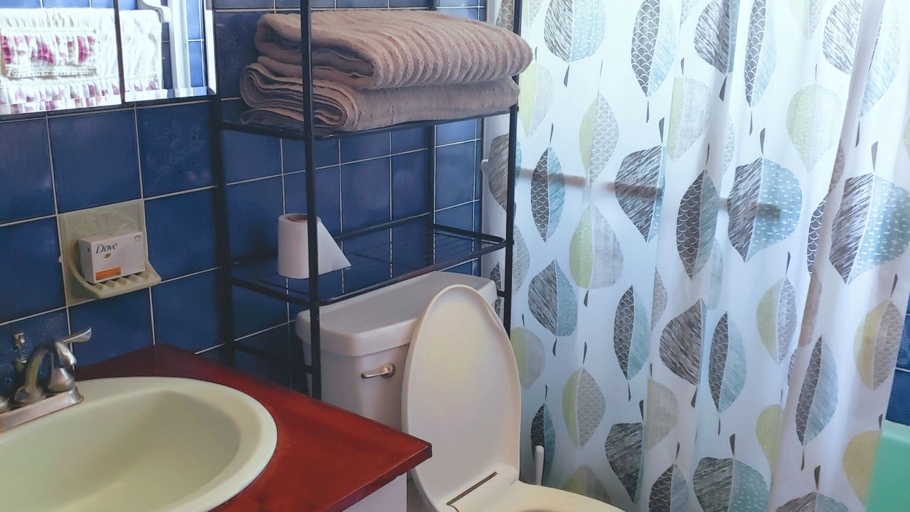 Photo of Bathroom in Road Town