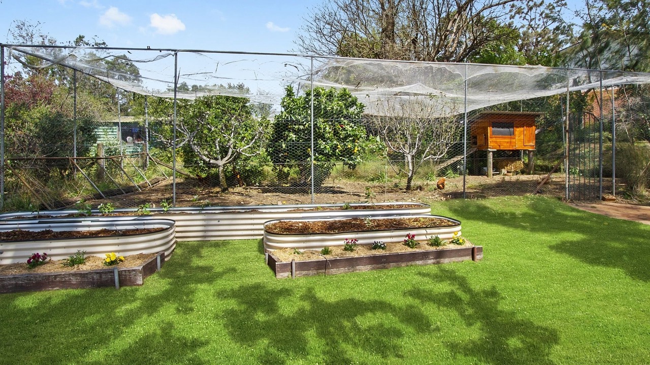 Photo of Outdoor in Kurrajong