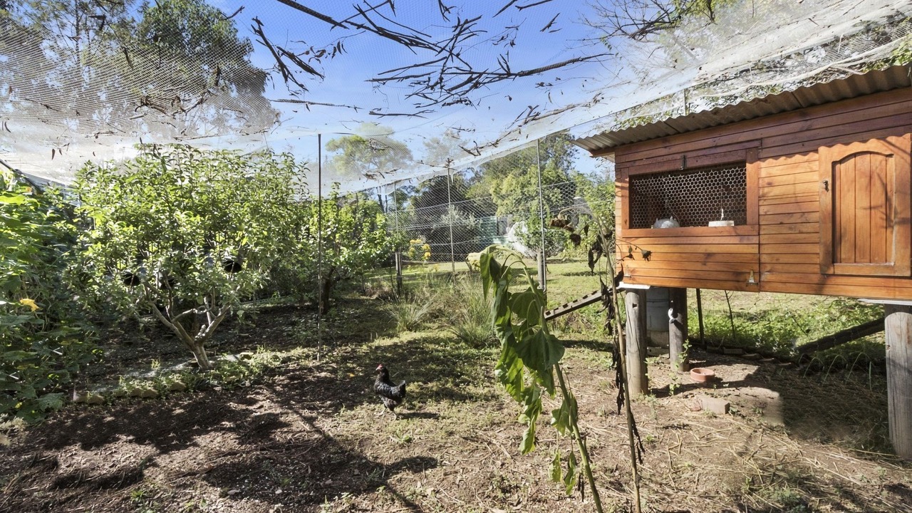 Photo of Outdoor in Kurrajong