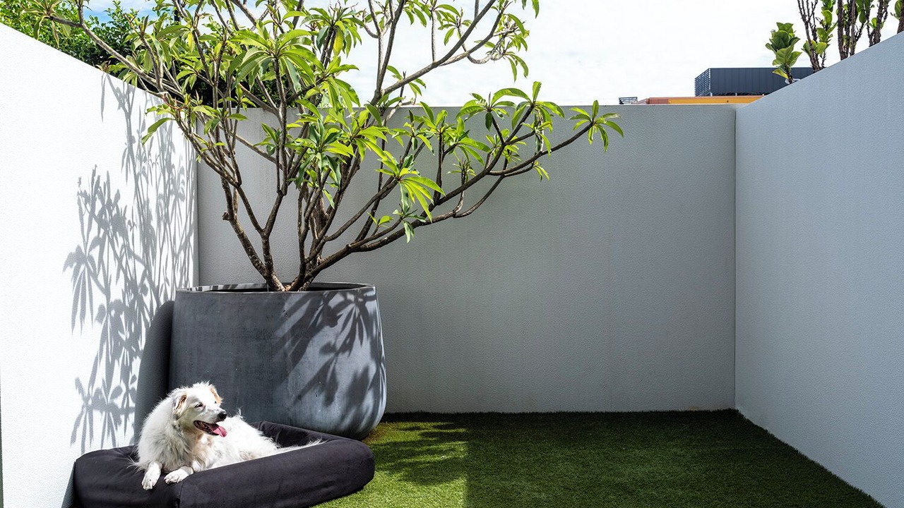 Photo of Patio Balcony in Robina