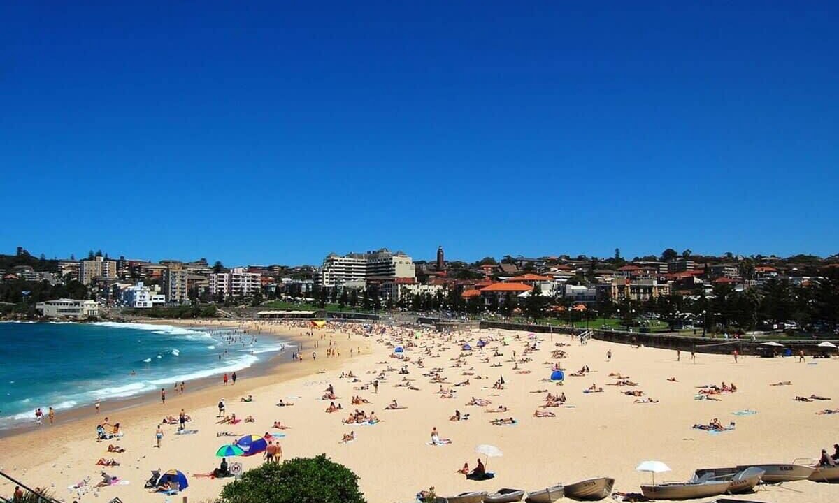 Photo of Others in Coogee