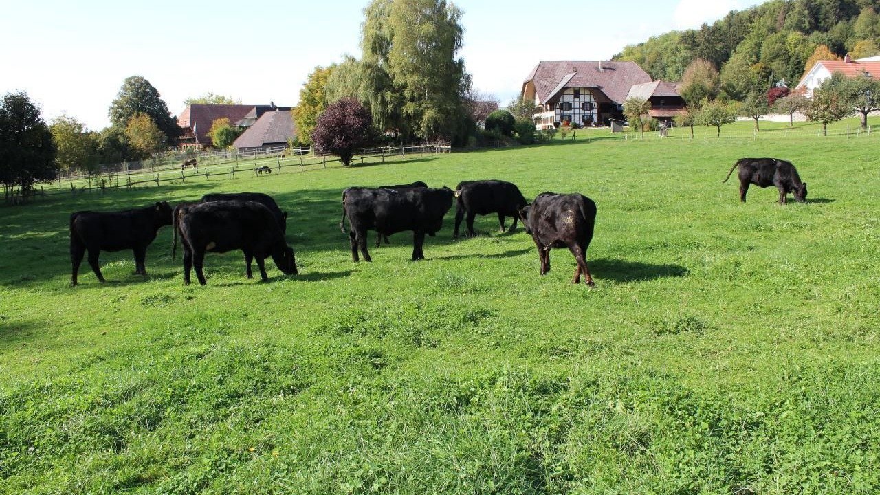 Photo of Others in Seeberg