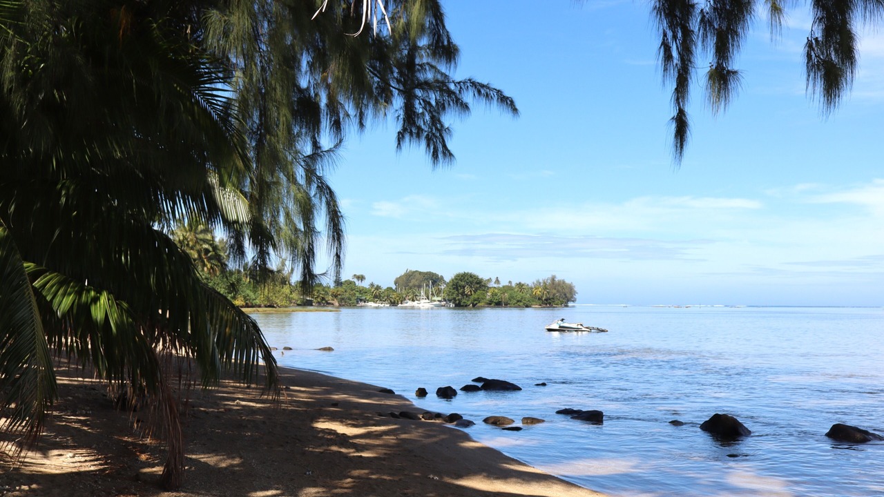 Photo of Others in Paea