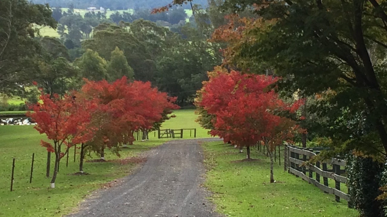 Photo of Outdoor in Kangaroo Valley