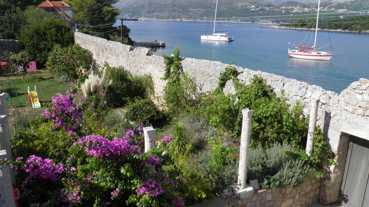 Photo of Outdoor in Kolocep Island