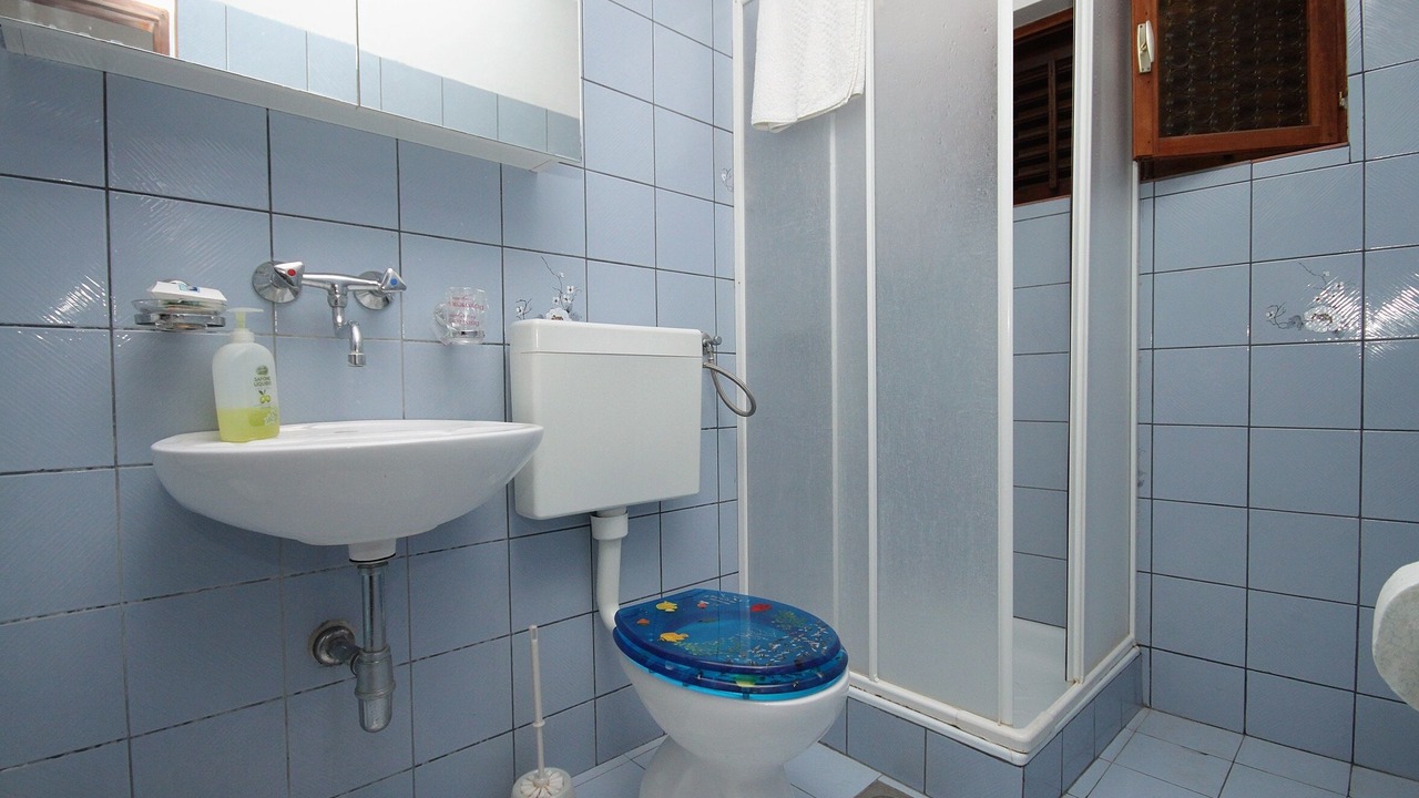 Photo of Bathroom in Zavalatica