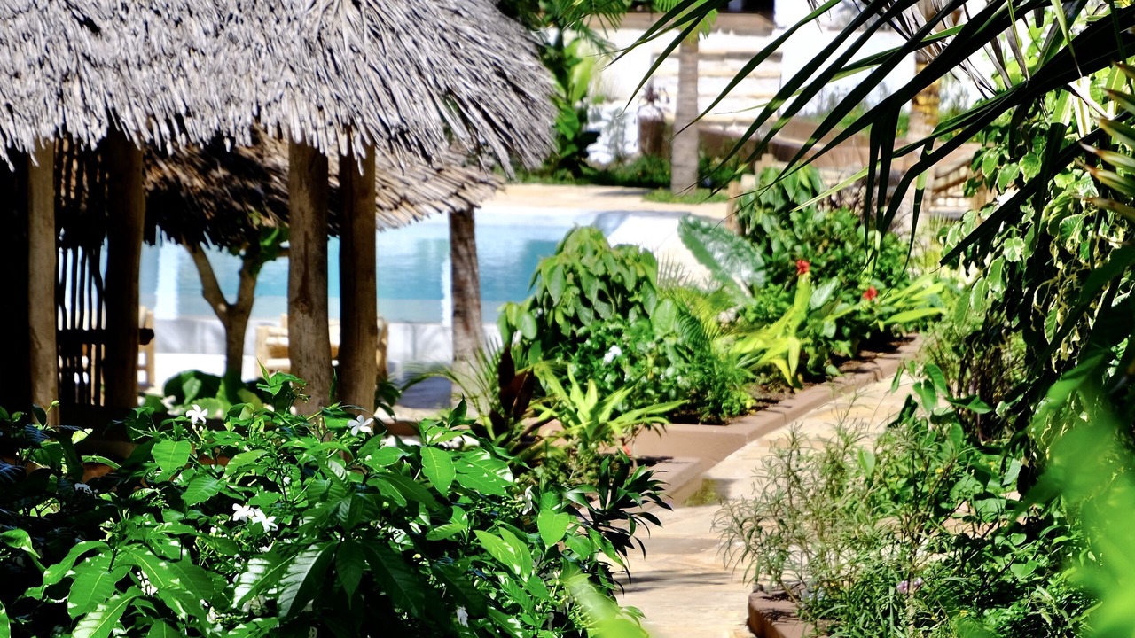 Photo of Outdoor in Jambiani