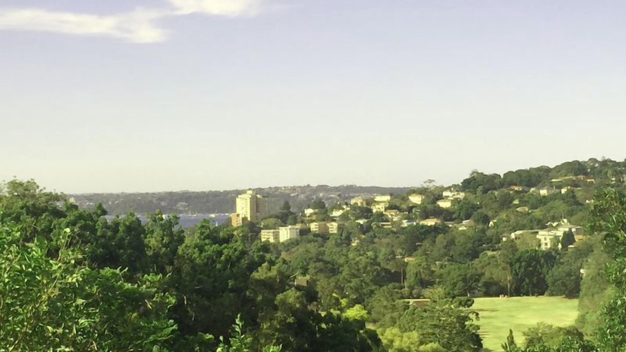 Photo of Others in Woollahra