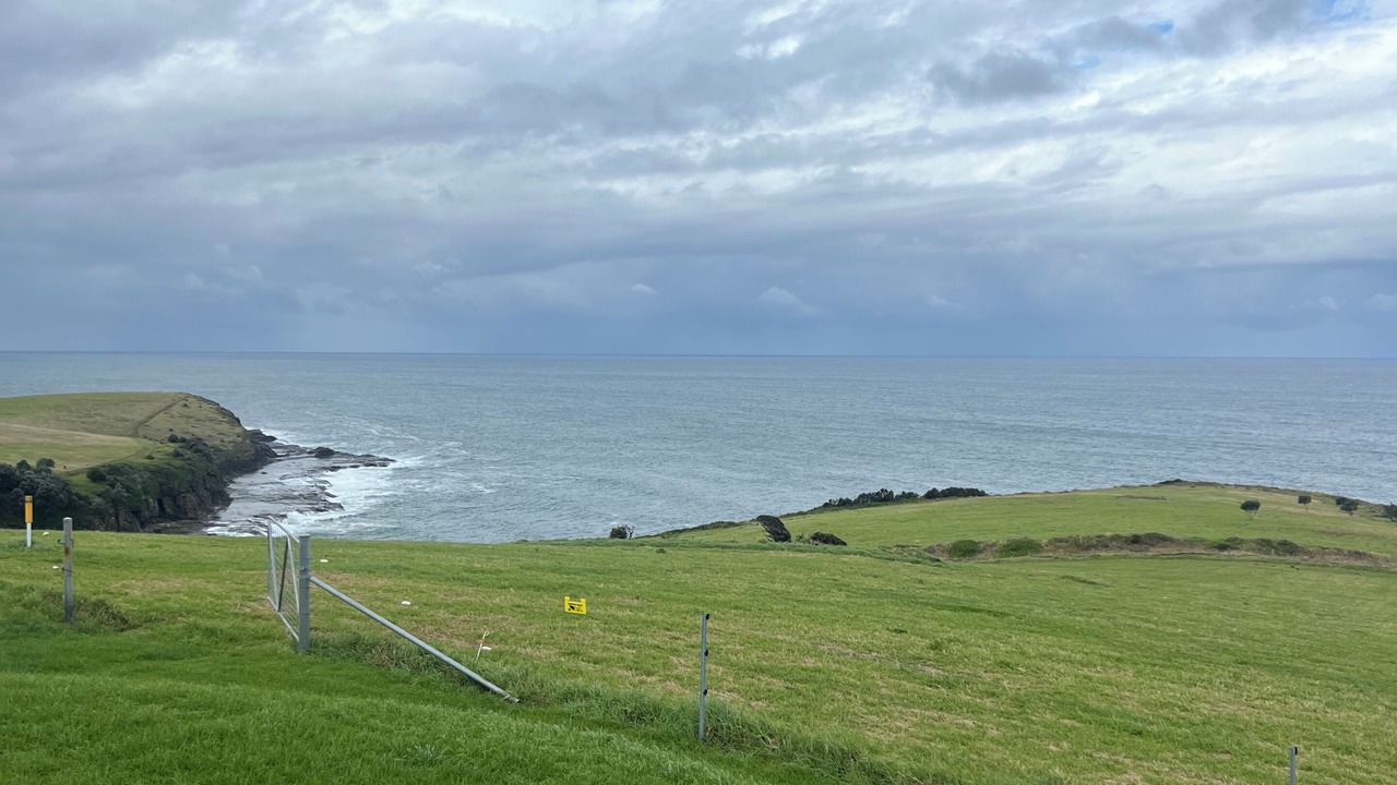Photo of Others in Kiama Heights