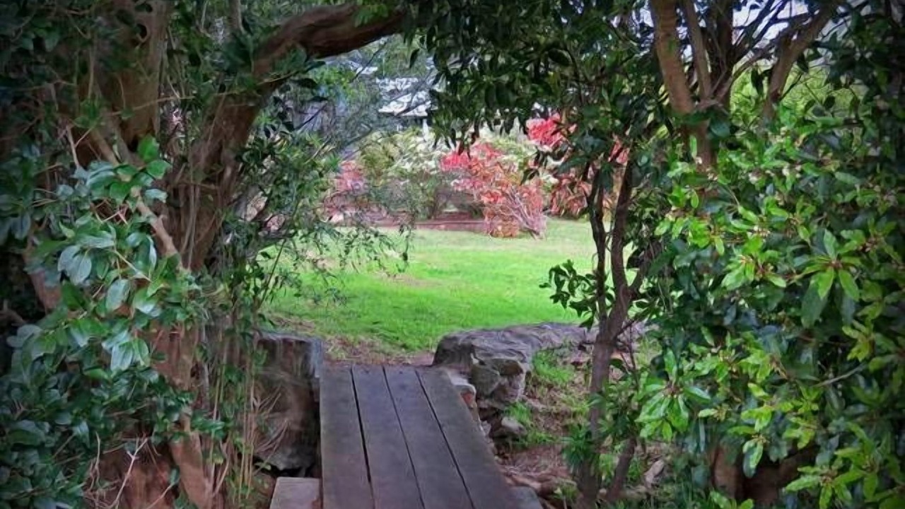 Photo of Outdoor in Austinmer