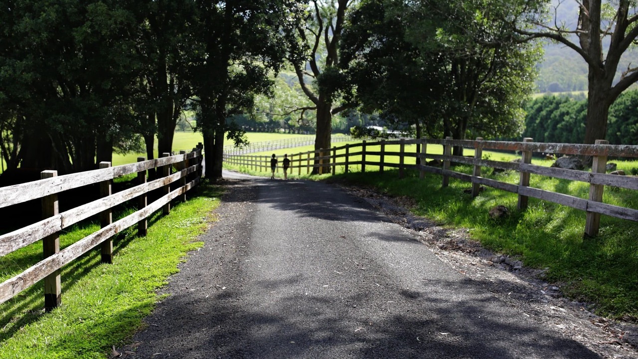 Photo of Others in Foxground