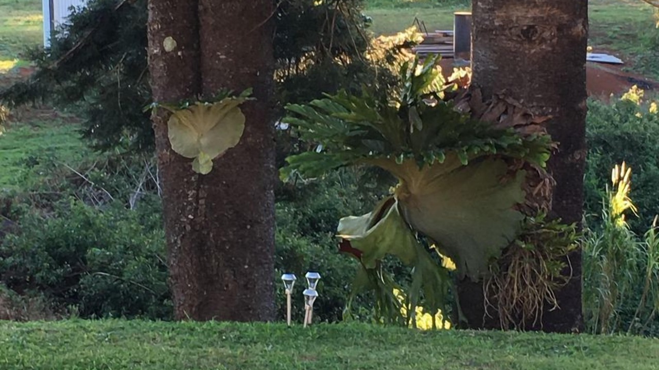 Photo of Outdoor in Montville