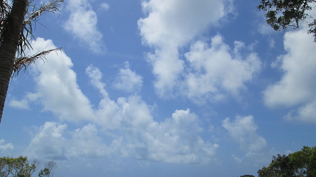 Photo of Others in Cow Bay
