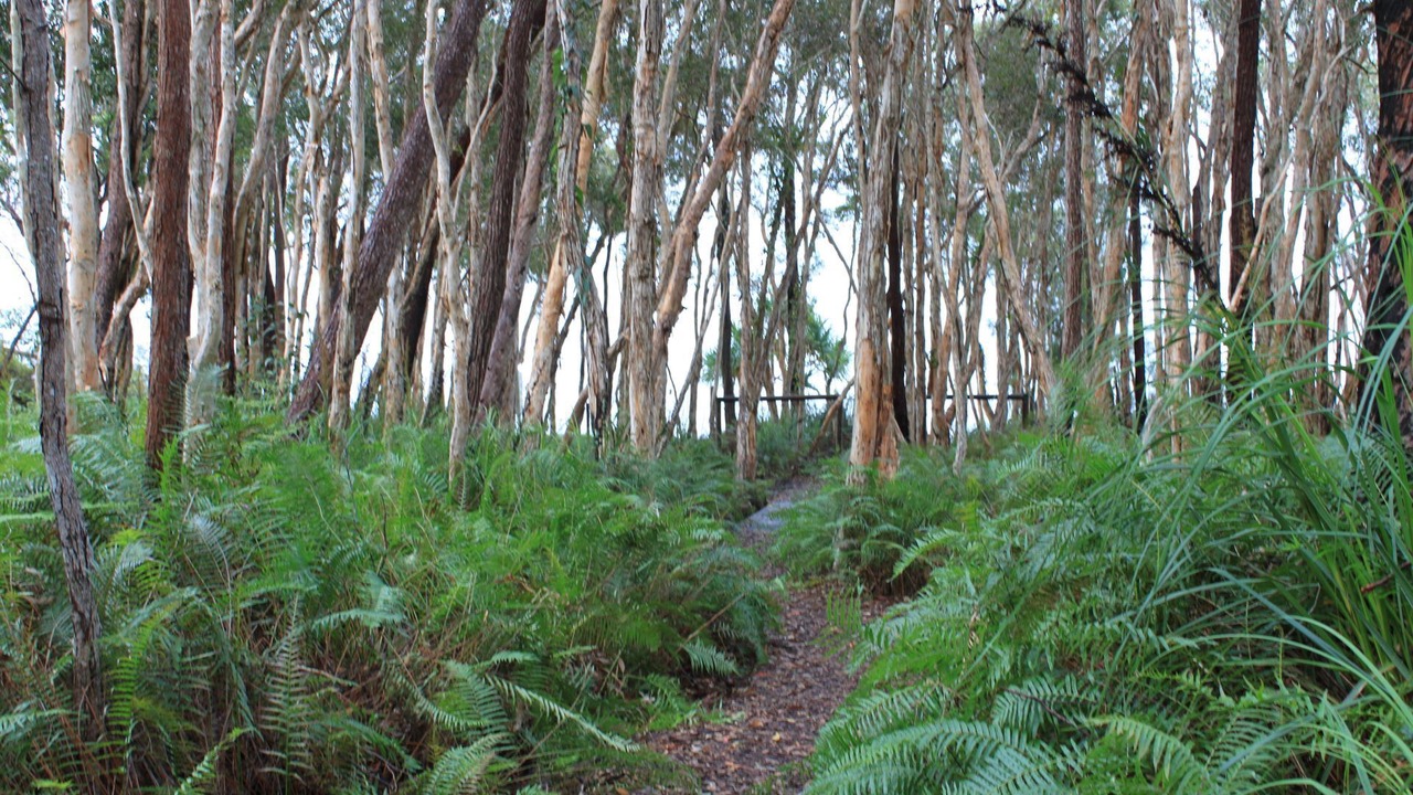 Photo of Others in Kingfisher Bay