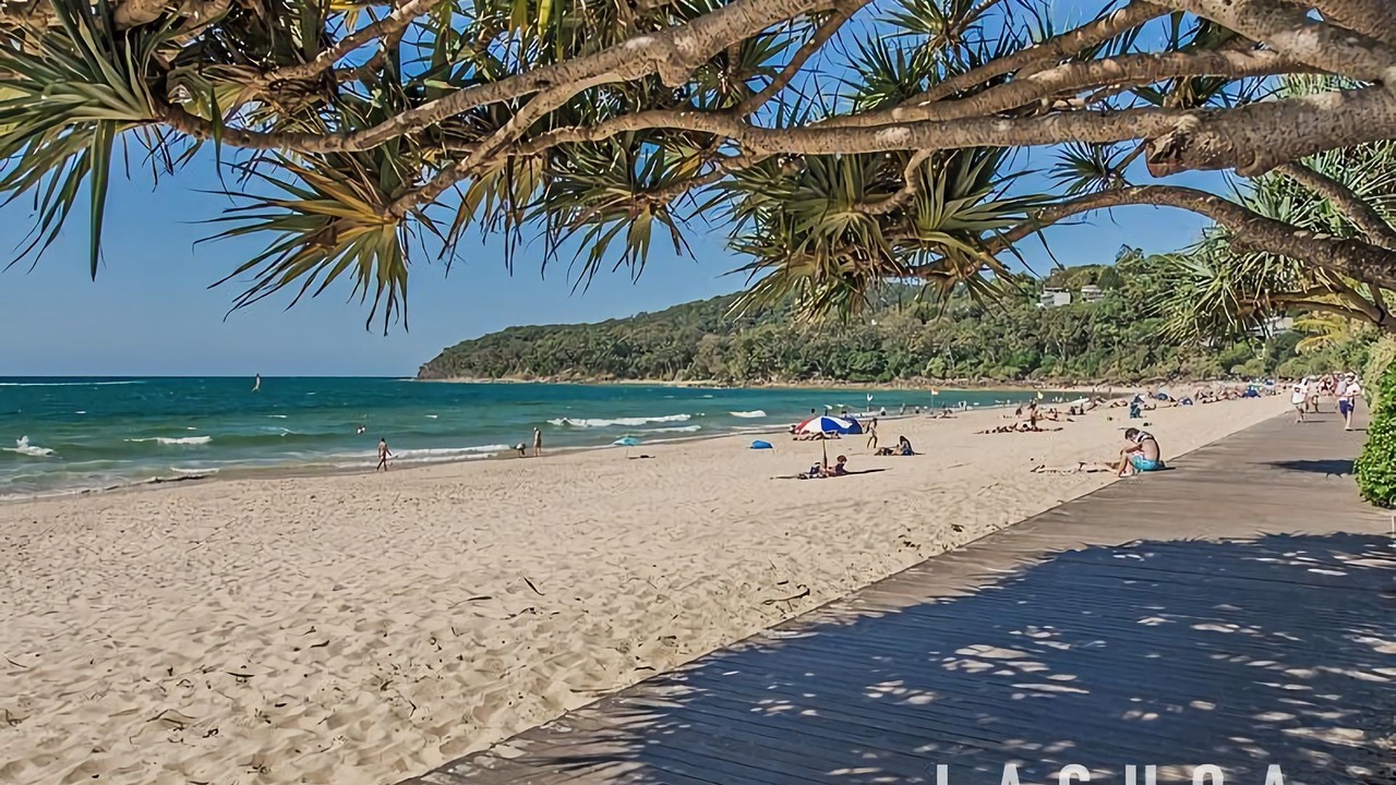 Photo of Others in Noosa Heads