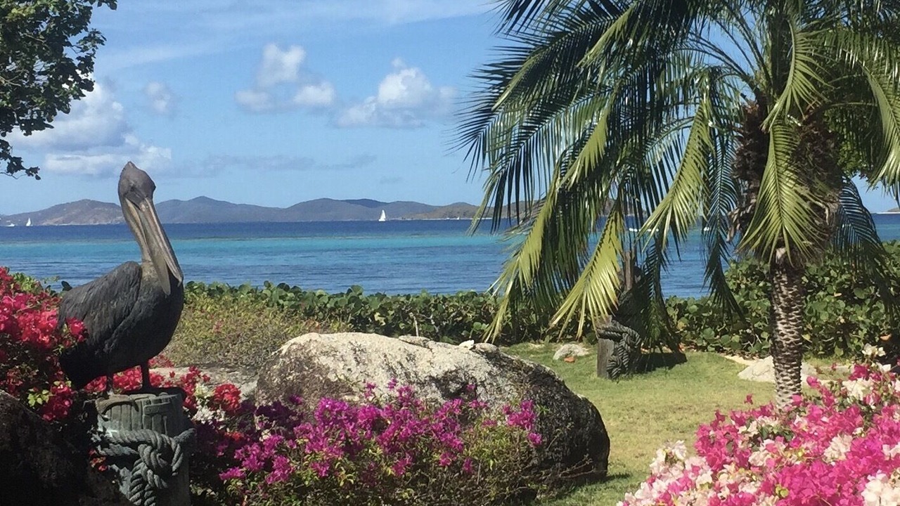 Photo of Outdoor in Spanish Town
