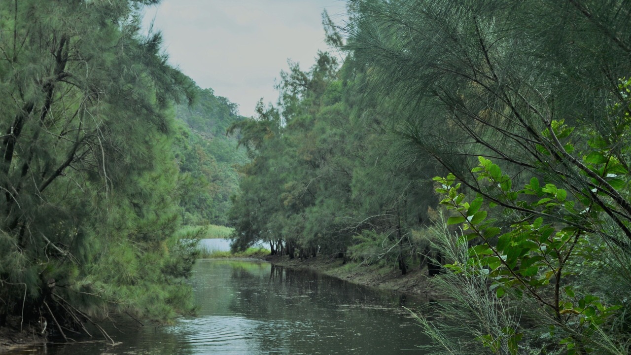 Photo of Others in Barringella